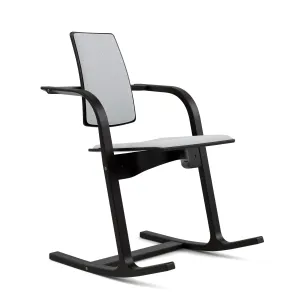 Actulum Chair by Varier